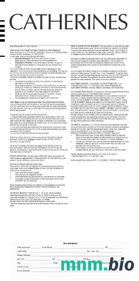 Szablon zestawienia zarobków CATHERINES w formatach Word i PDF, 2
